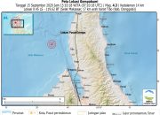 Gempa Bumi Magnitudo 4.3 SR Guncang Tibo Sulteng, Tak Berpotensi Tsunami