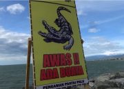 Ada Warga Diserang Buaya di Pantai Talise, BKSDA Sulteng Minta Warga Berhati-hati