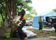 Gempa Sulbar: Bantuan Logistik Terus Mengalir ke Mamuju