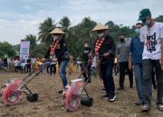 Gubernur Sulawesi Tengah dan Bupati Morut Tanam Perdana Jagung