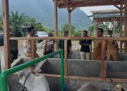 Siapkan Integrated Farming, Bupati Morowali Jawab Tantangan Mentan