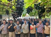 Asharini: Bimtek Petani Anggur diharap Bawa Kota Palu Jadi Pusat Hortikultuta Unggul di Indonesia