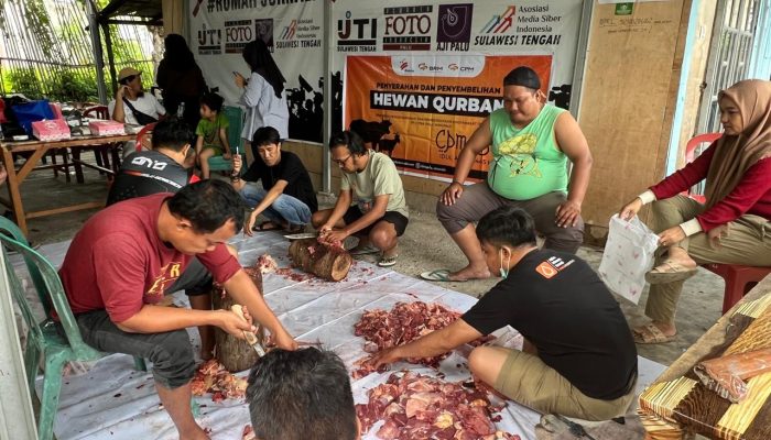 PT CPM Distribusi 21 Ekor Hewan Kurban, salah satunya Penyembelihan di Sekretariat Rumah Jurnalis Palu