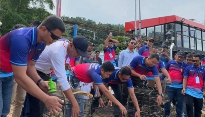 Pelepasliaran Penyu dan Burung Maleo di Tolitoli, Wujud Kepedulian Lingkungan Pertamina Patra Niaga Sulawesi