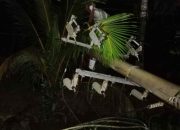 Pohon Tumbang Putuskan Jaringan Listrik di Bambalaga, PLN Tolitoli Berjibaku Pulihkan Pasokan di Tengah Hujan