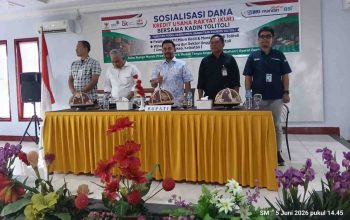 Kadin Tolitoli Fasilitasi UMKM Akses KUR, Siap Dampingi Pelaku Usaha Hadapi Kendala Perbankan
