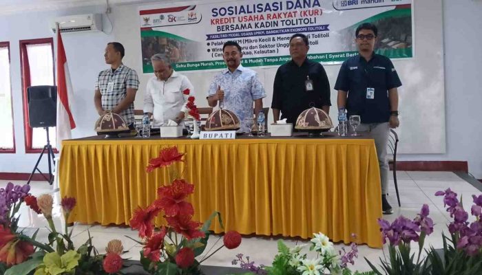 Kadin Tolitoli Fasilitasi UMKM Akses KUR, Siap Dampingi Pelaku Usaha Hadapi Kendala Perbankan