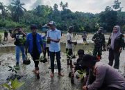 Wakil Ketua II DPRD Tolitoli Pimpin Penanaman Mangrove, Sebagai Wujud Nyata Jaga Kelestarian Laut