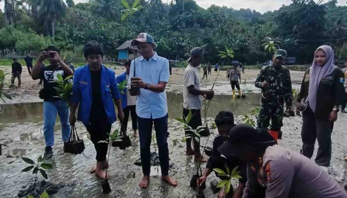 Wakil Ketua II DPRD Tolitoli Pimpin Penanaman Mangrove, Sebagai Wujud Nyata Jaga Kelestarian Laut