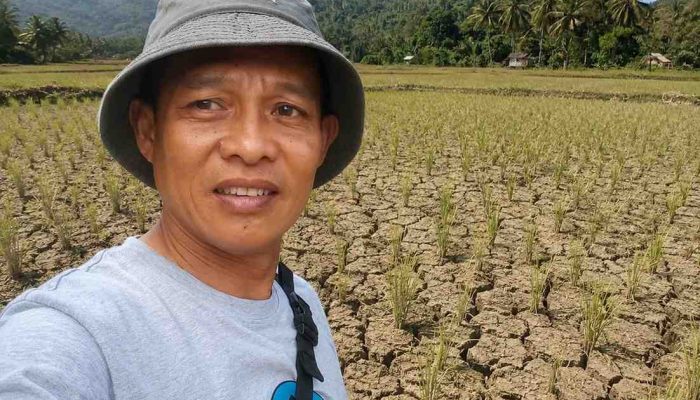 Ketua KTNA Tolitoli Prediksi Harga Beras Naik Akhir 2026, Desak Pemkab Percepat Perbaikan Irigasi