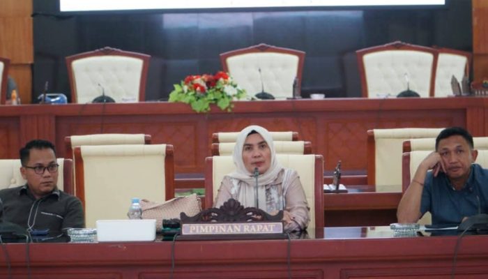 DPRD Desak Pemkab Tolitoli Atasi Krisis Listrik Desa Kabetan